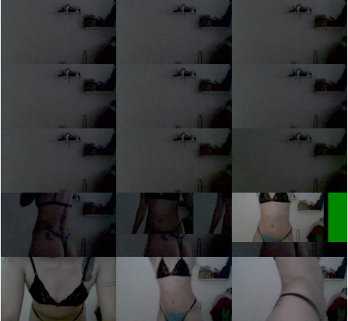 View or download file friluxcal on 2023-09-02 from cam4