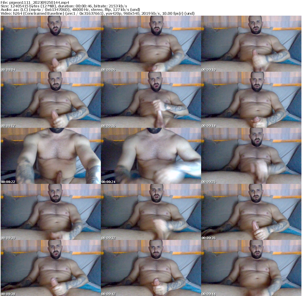 Preview thumb from pigeon1111 on 2023-09-25 @ cam4